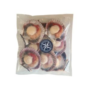 Ostión en concha 500 g